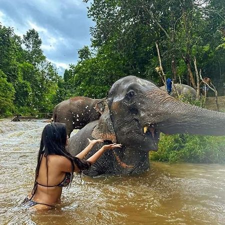 Wild Park Safari Home Stay Udawalawe Εξωτερικό φωτογραφία