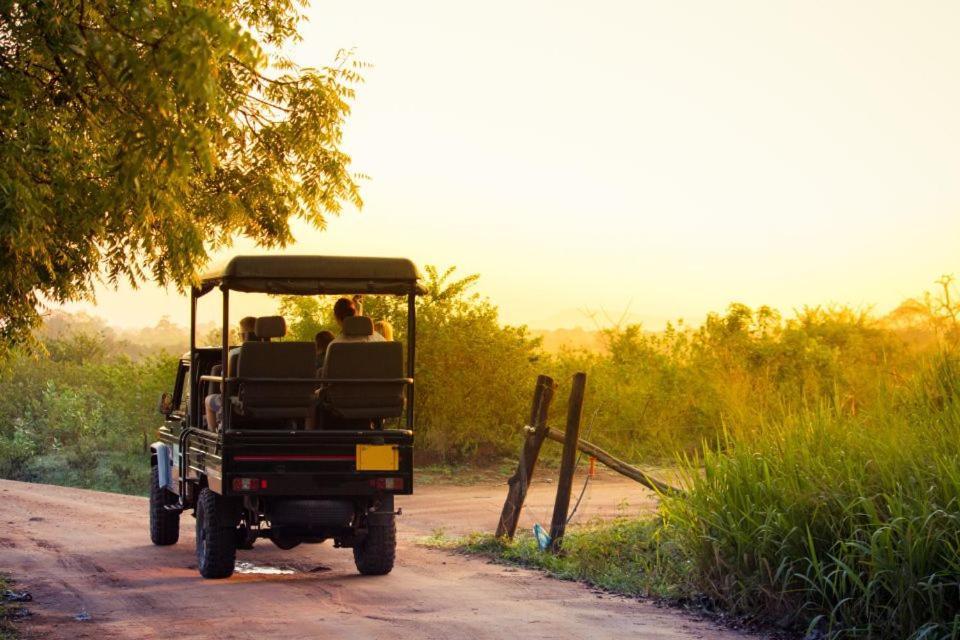 Wild Park Safari Home Stay Udawalawe Εξωτερικό φωτογραφία