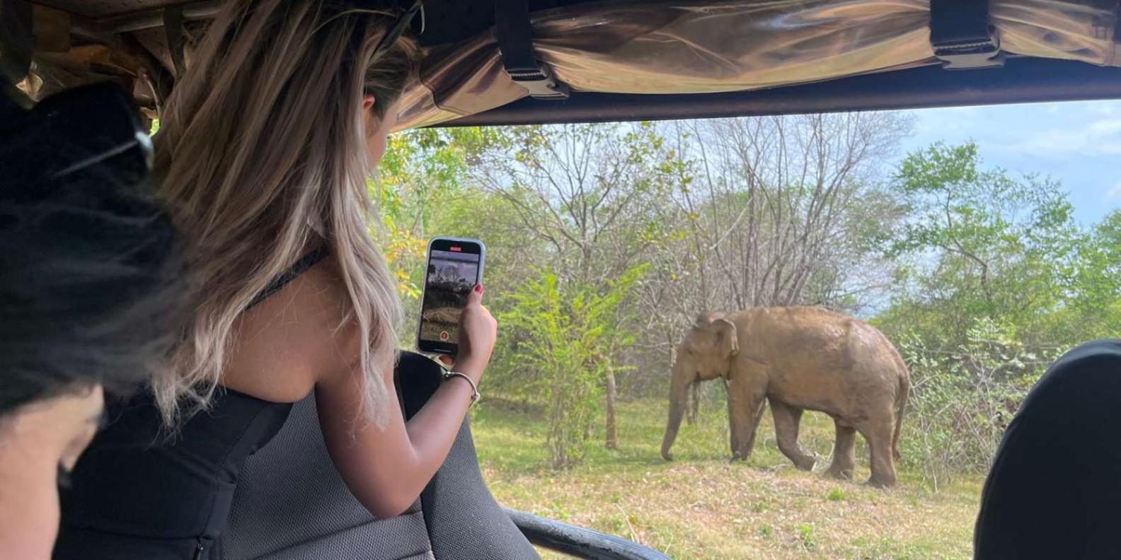 Wild Park Safari Home Stay Udawalawe Εξωτερικό φωτογραφία